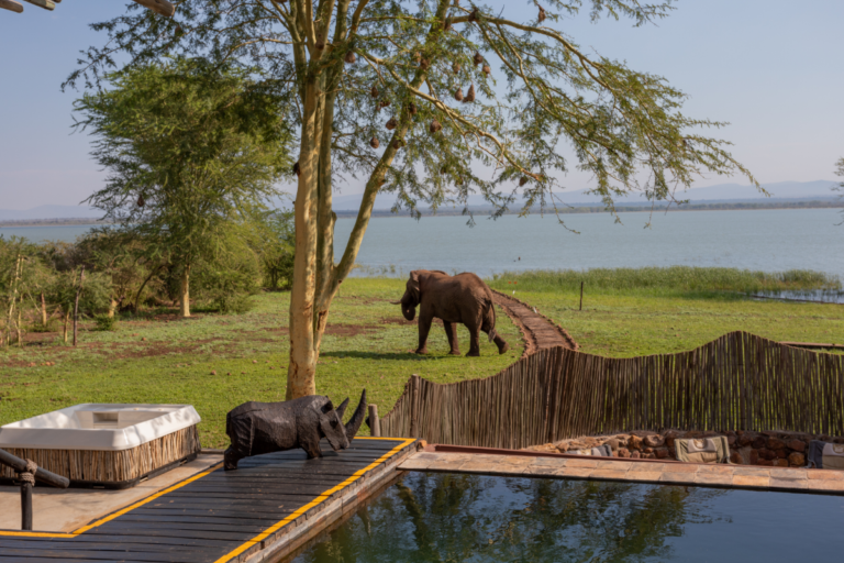 7 Bedroom Property for Sale in Jozini Rural KwaZulu-Natal