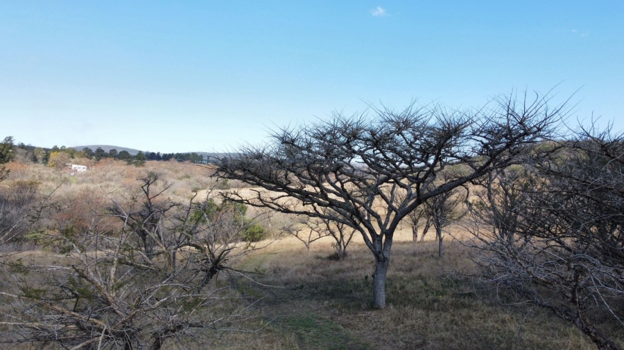 Commercial Property for Sale in Albert Falls KwaZulu-Natal