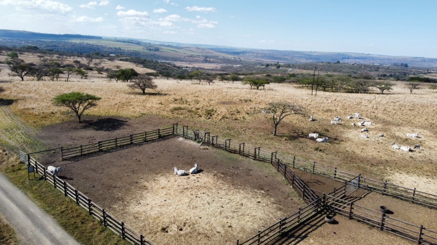 Commercial Property for Sale in Albert Falls KwaZulu-Natal