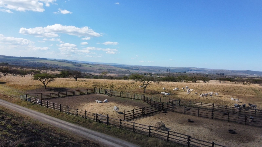 Commercial Property for Sale in Albert Falls KwaZulu-Natal