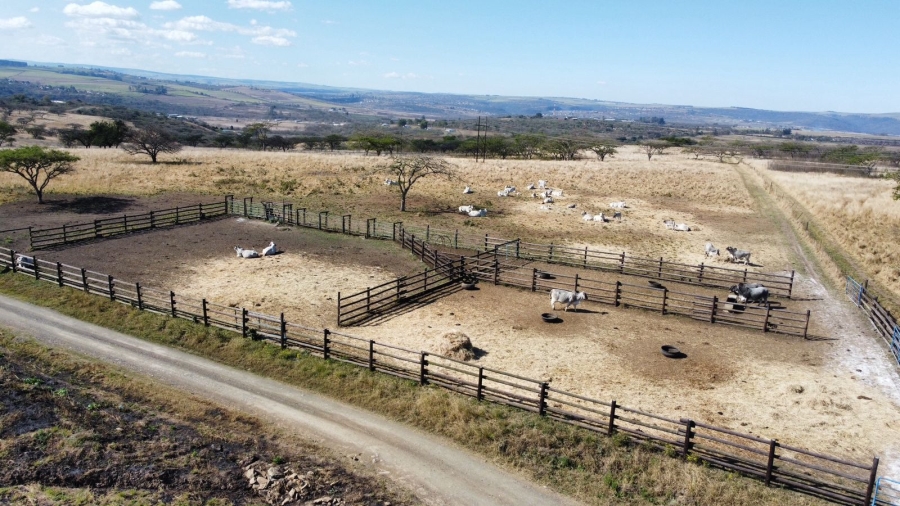 Commercial Property for Sale in Albert Falls KwaZulu-Natal