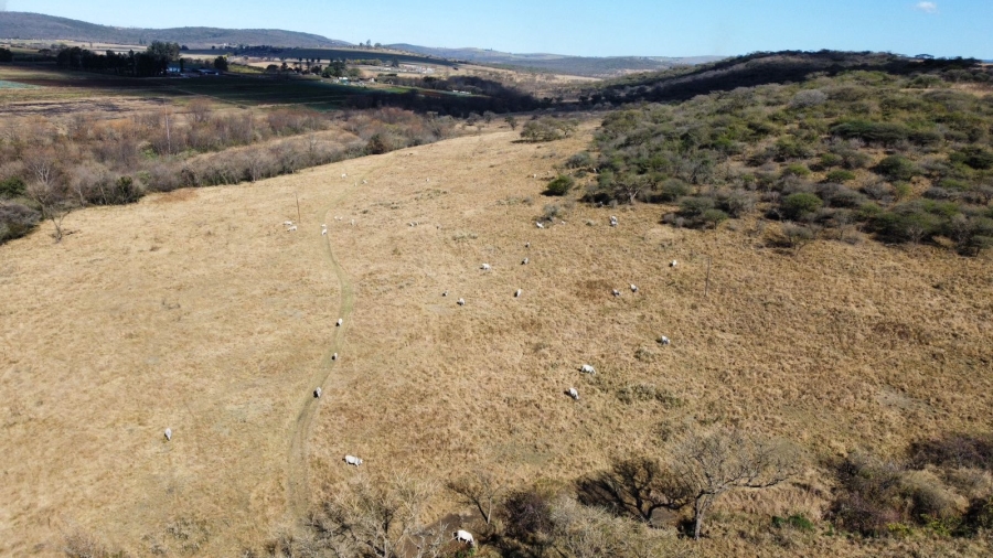 Commercial Property for Sale in Albert Falls KwaZulu-Natal