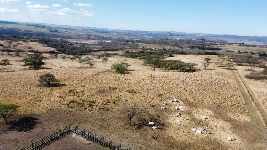 Commercial Property for Sale in Albert Falls KwaZulu-Natal