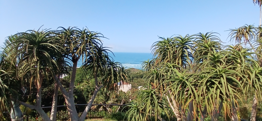 4 Bedroom Property for Sale in Zinkwazi Beach KwaZulu-Natal