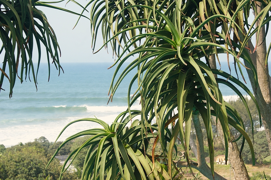 4 Bedroom Property for Sale in Zinkwazi Beach KwaZulu-Natal