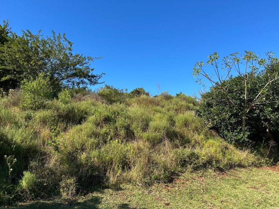 0 Bedroom Property for Sale in Zini River Estate KwaZulu-Natal
