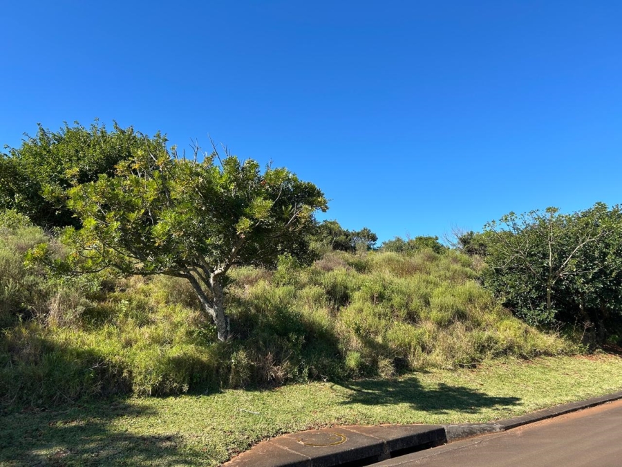 0 Bedroom Property for Sale in Zini River Estate KwaZulu-Natal