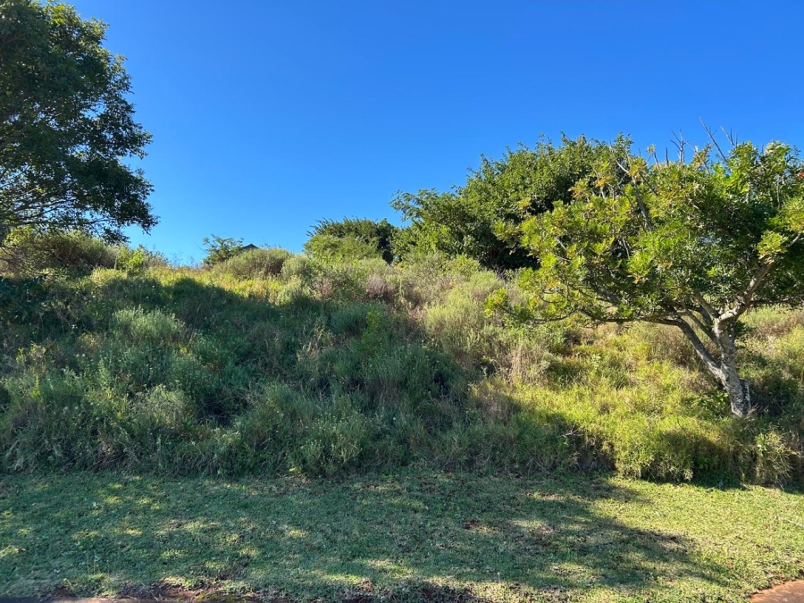 0 Bedroom Property for Sale in Zini River Estate KwaZulu-Natal