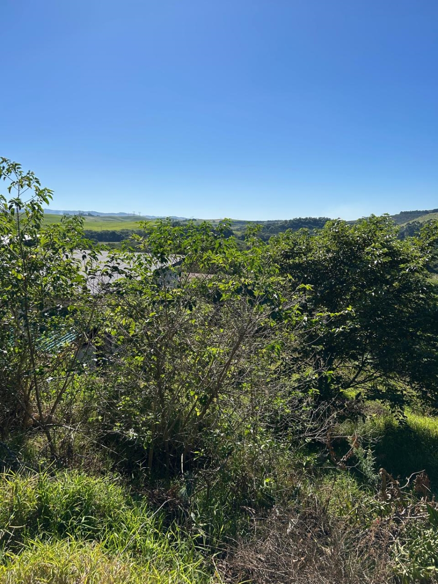 0 Bedroom Property for Sale in Zini River Estate KwaZulu-Natal