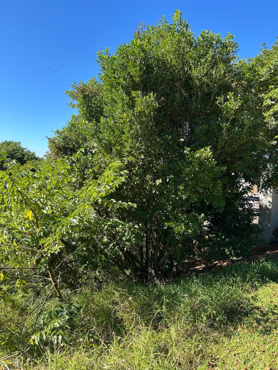 0 Bedroom Property for Sale in Zini River Estate KwaZulu-Natal