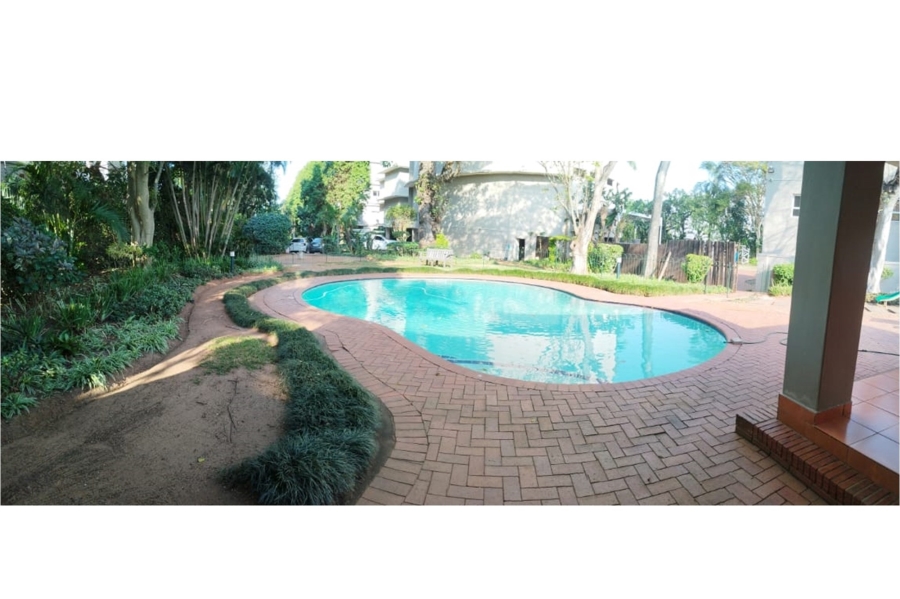 To Let 4 Bedroom Property for Rent in Musgrave KwaZulu-Natal
