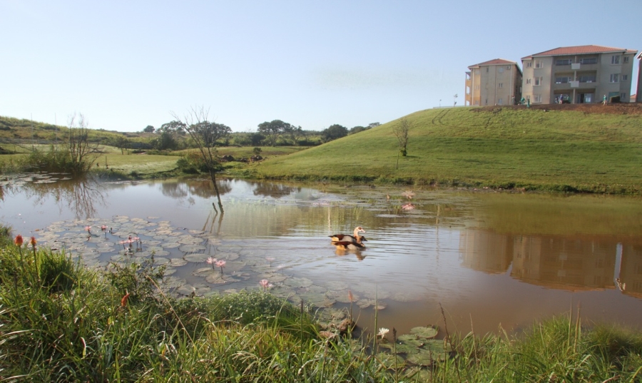To Let 2 Bedroom Property for Rent in Sheffield Manor KwaZulu-Natal