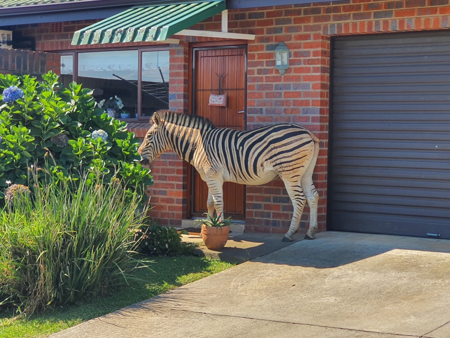 2 Bedroom Property for Sale in Amber Valley KwaZulu-Natal