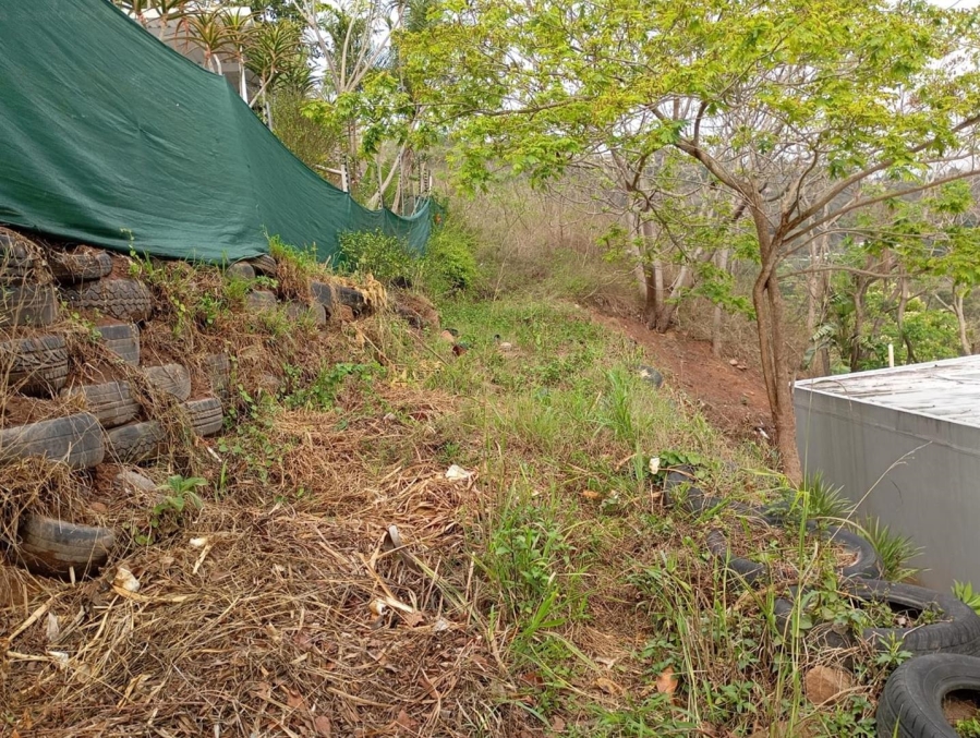 0 Bedroom Property for Sale in Westville Central KwaZulu-Natal