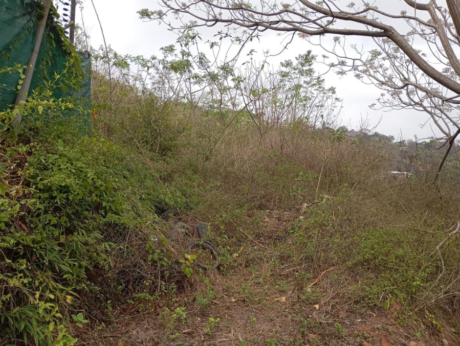 0 Bedroom Property for Sale in Westville Central KwaZulu-Natal
