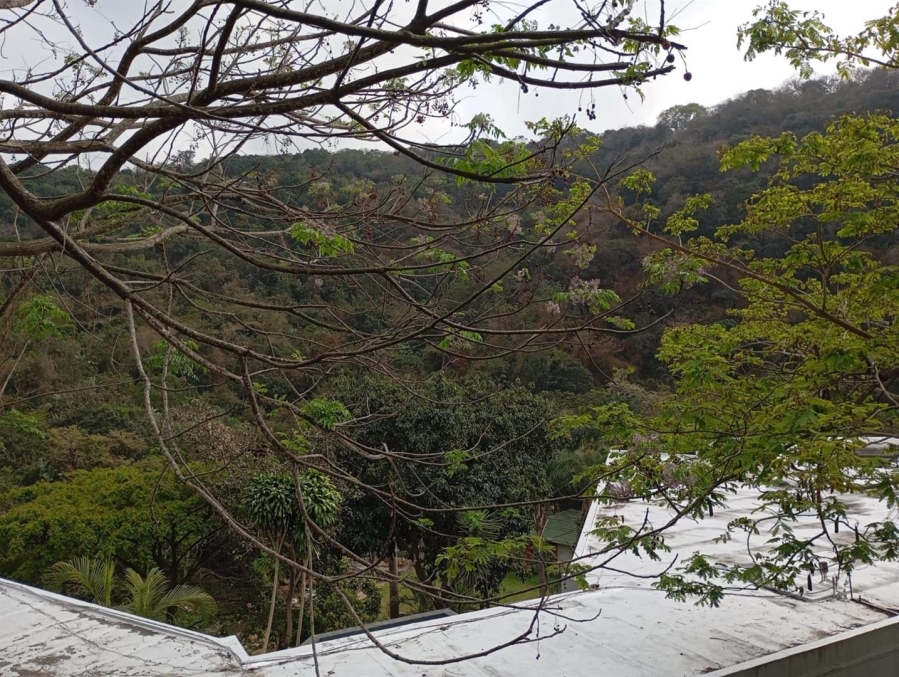 0 Bedroom Property for Sale in Westville Central KwaZulu-Natal