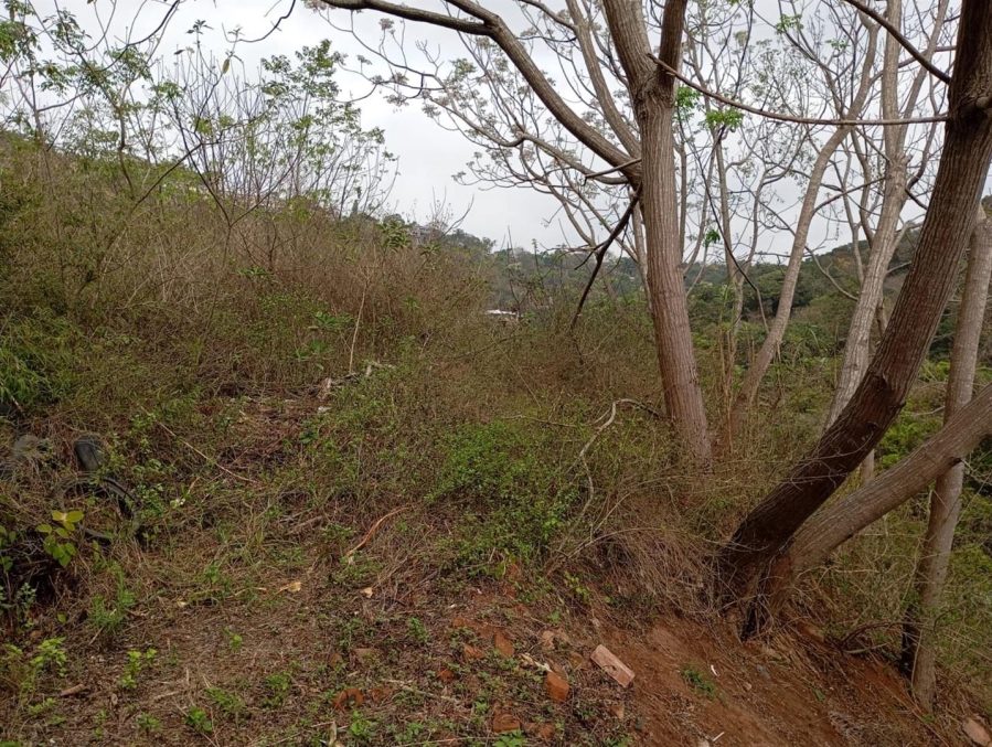 0 Bedroom Property for Sale in Westville Central KwaZulu-Natal