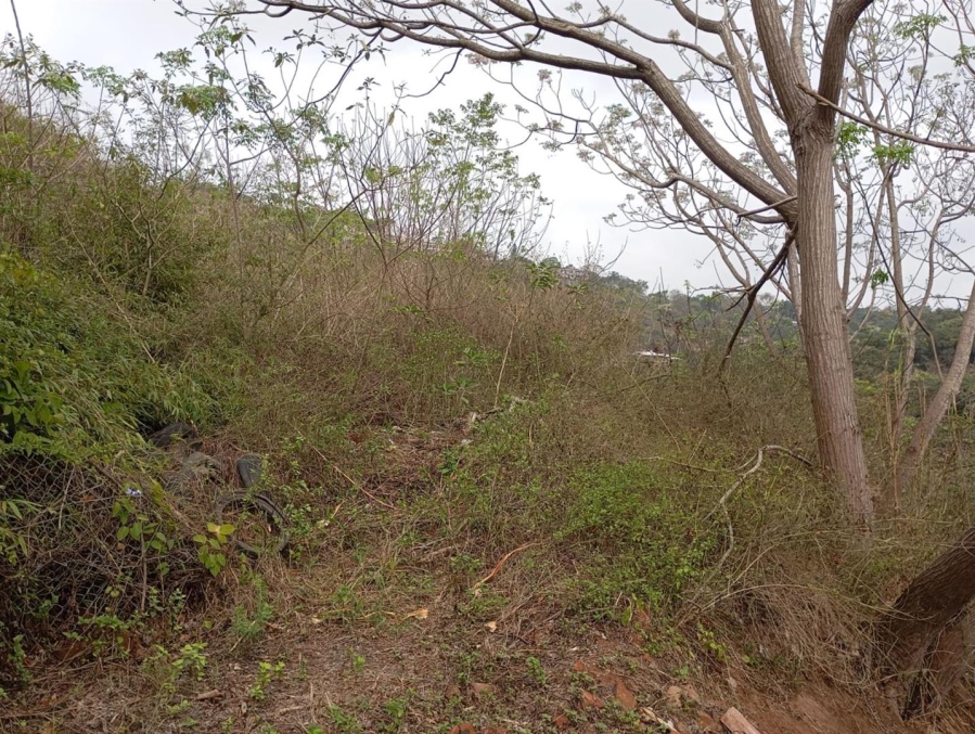 0 Bedroom Property for Sale in Westville Central KwaZulu-Natal
