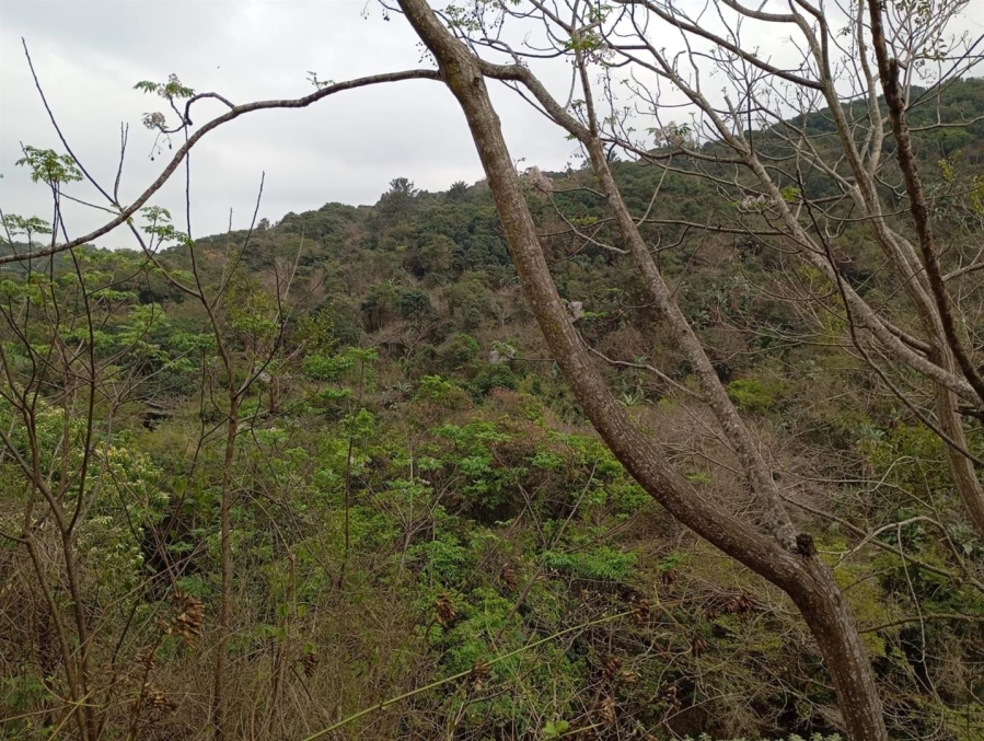 0 Bedroom Property for Sale in Westville Central KwaZulu-Natal