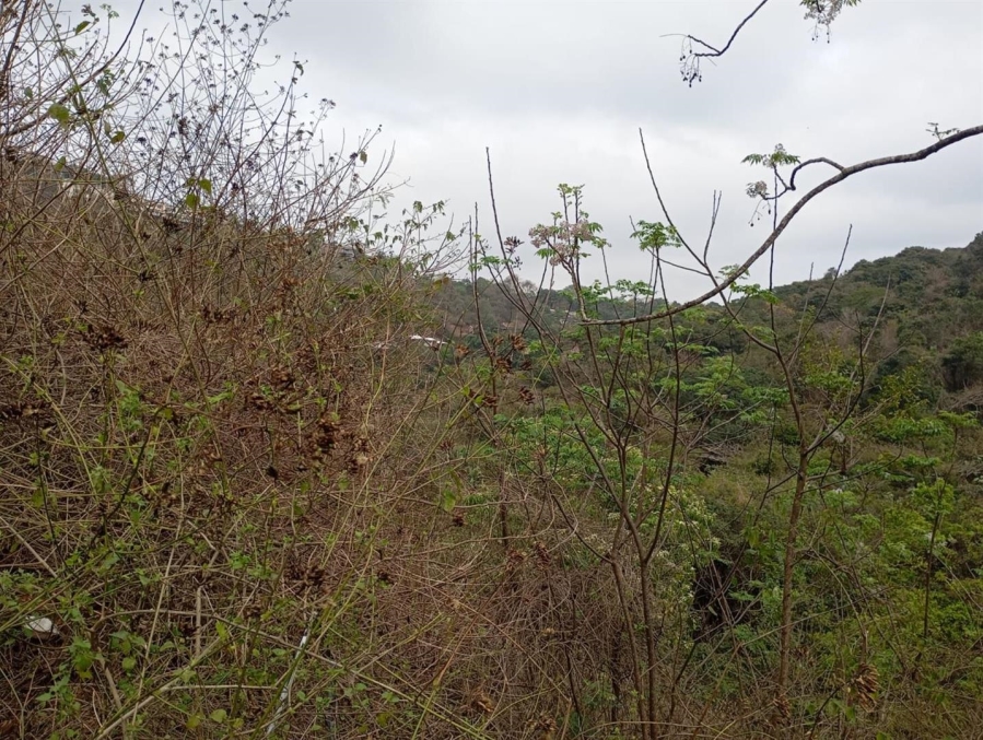 0 Bedroom Property for Sale in Westville Central KwaZulu-Natal