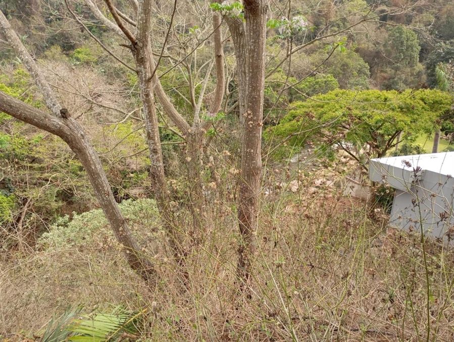 0 Bedroom Property for Sale in Westville Central KwaZulu-Natal