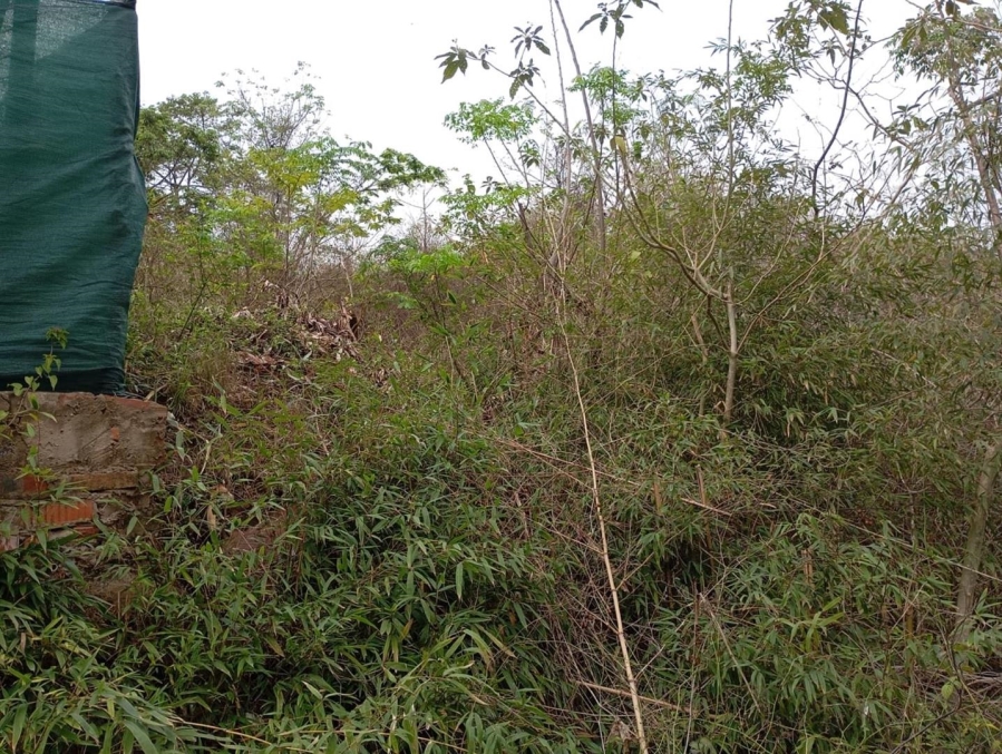0 Bedroom Property for Sale in Westville Central KwaZulu-Natal