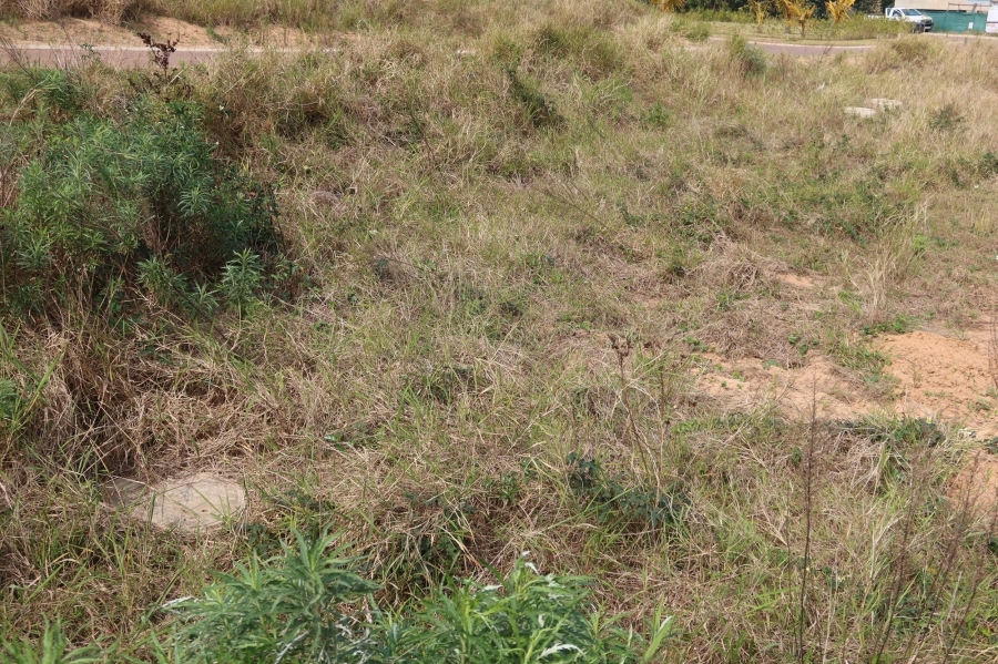 0 Bedroom Property for Sale in Sheffield Beach KwaZulu-Natal