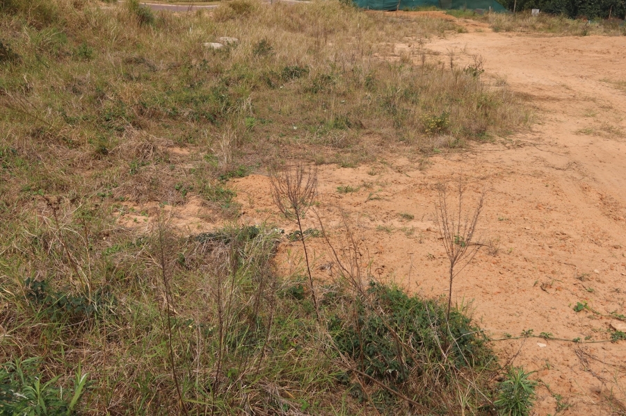 0 Bedroom Property for Sale in Sheffield Beach KwaZulu-Natal