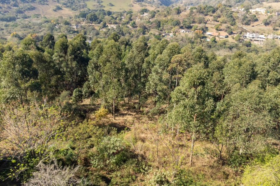 0 Bedroom Property for Sale in Forest Hills KwaZulu-Natal
