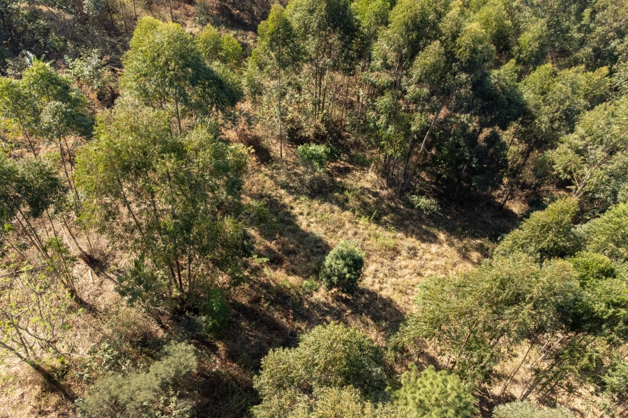 0 Bedroom Property for Sale in Forest Hills KwaZulu-Natal