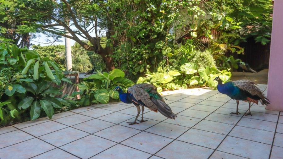 3 Bedroom Property for Sale in Amanzimtoti KwaZulu-Natal