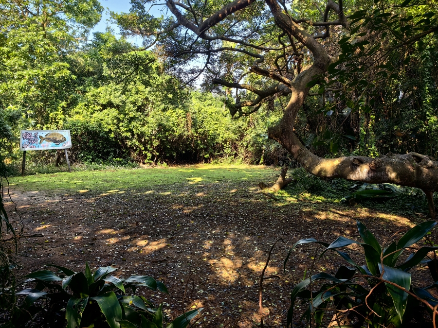 5 Bedroom Property for Sale in Elysium KwaZulu-Natal