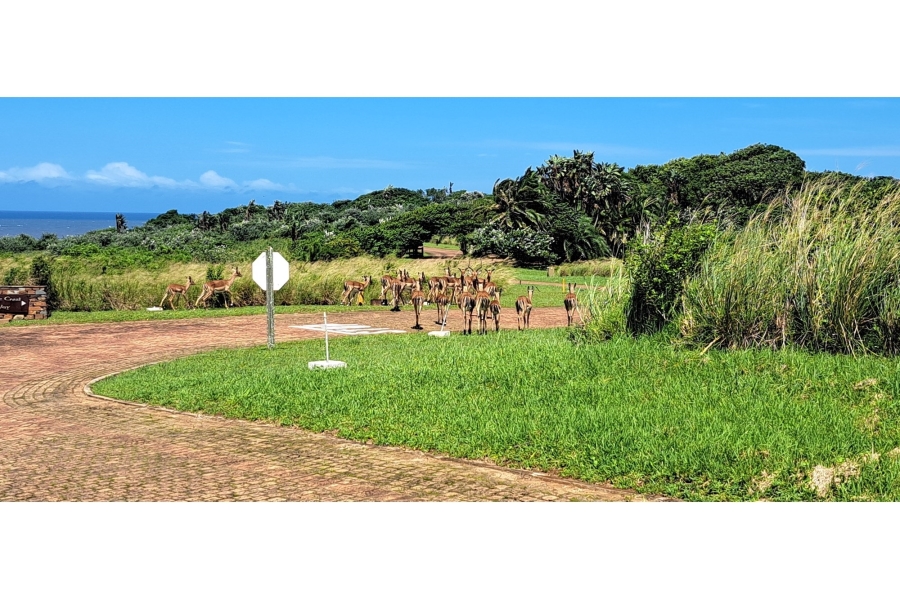 0 Bedroom Property for Sale in Leisure Bay KwaZulu-Natal