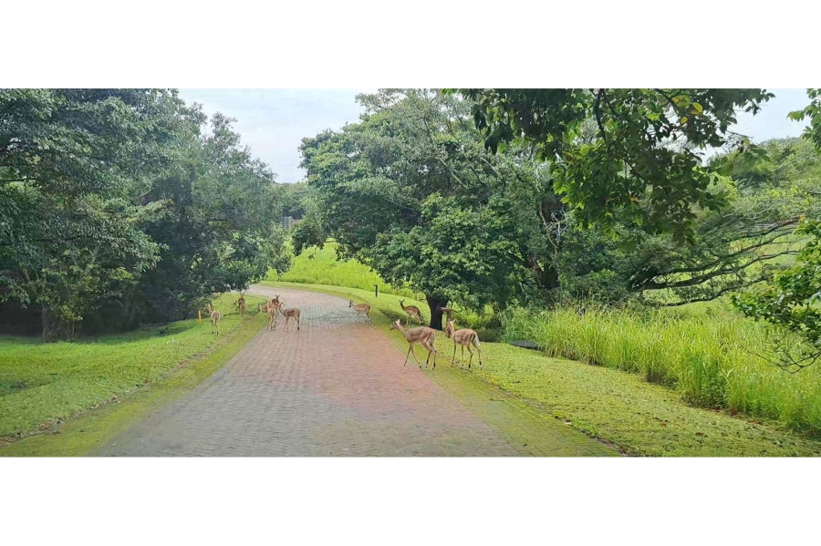 0 Bedroom Property for Sale in Leisure Bay KwaZulu-Natal