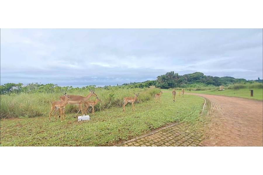 0 Bedroom Property for Sale in Leisure Bay KwaZulu-Natal