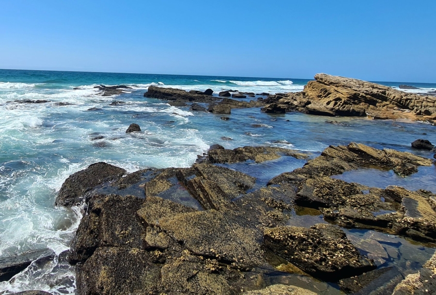 0 Bedroom Property for Sale in Ballito Central KwaZulu-Natal
