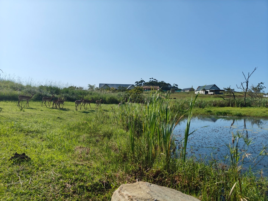 0 Bedroom Property for Sale in Springvale Country Estate KwaZulu-Natal
