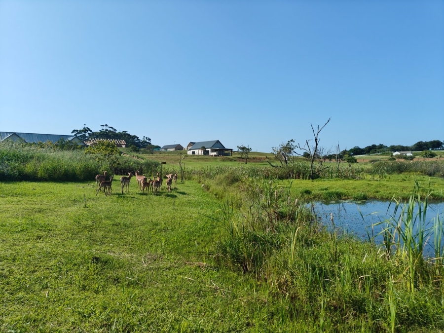 0 Bedroom Property for Sale in Springvale Country Estate KwaZulu-Natal