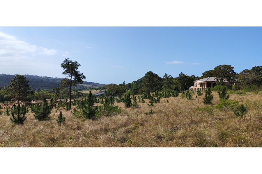 0 Bedroom Property for Sale in Palm Beach KwaZulu-Natal
