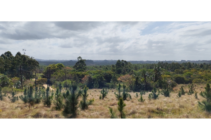 0 Bedroom Property for Sale in Palm Beach KwaZulu-Natal