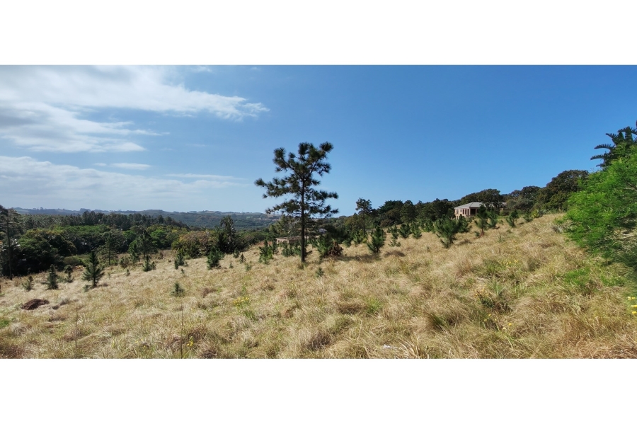 0 Bedroom Property for Sale in Palm Beach KwaZulu-Natal