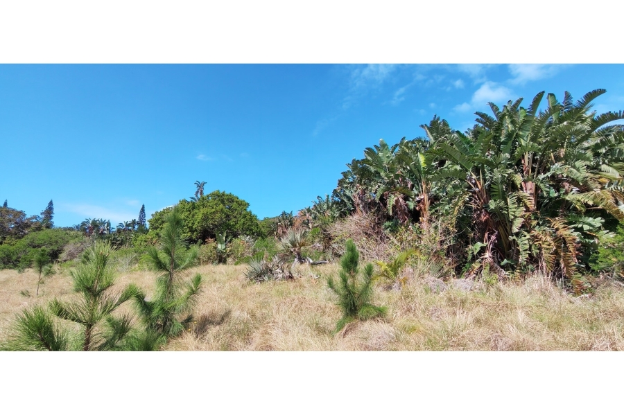 0 Bedroom Property for Sale in Palm Beach KwaZulu-Natal
