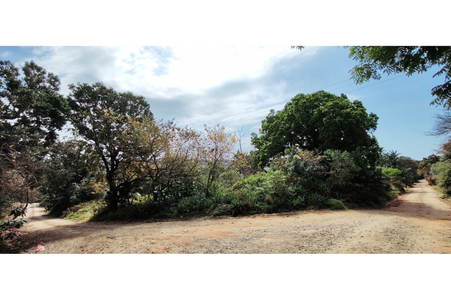 0 Bedroom Property for Sale in Palm Beach KwaZulu-Natal