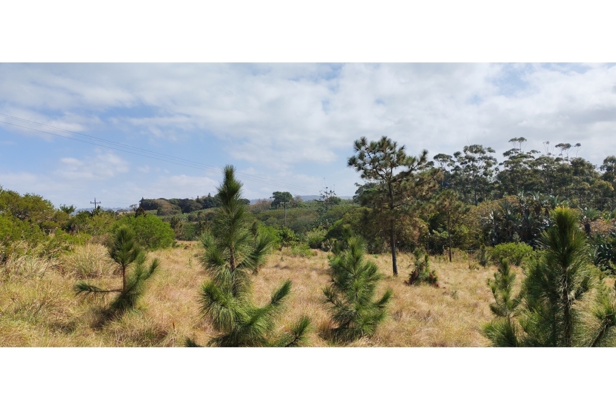 0 Bedroom Property for Sale in Palm Beach KwaZulu-Natal