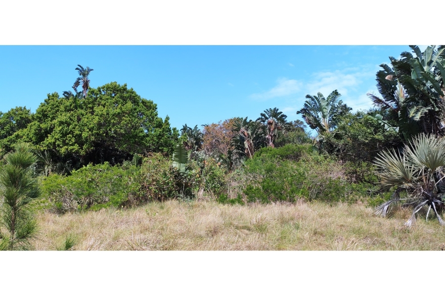 0 Bedroom Property for Sale in Palm Beach KwaZulu-Natal