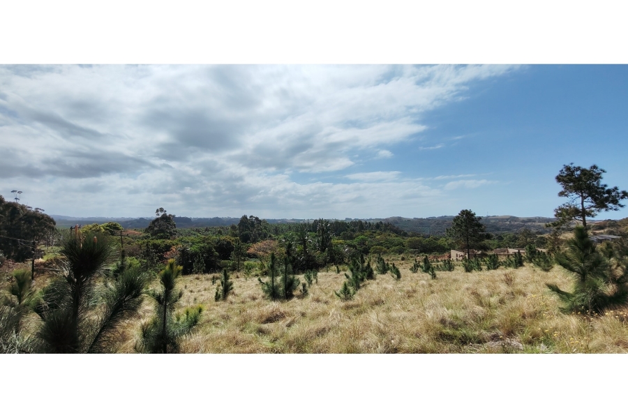 0 Bedroom Property for Sale in Palm Beach KwaZulu-Natal