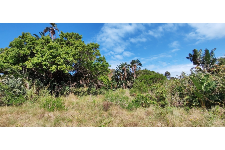 0 Bedroom Property for Sale in Palm Beach KwaZulu-Natal