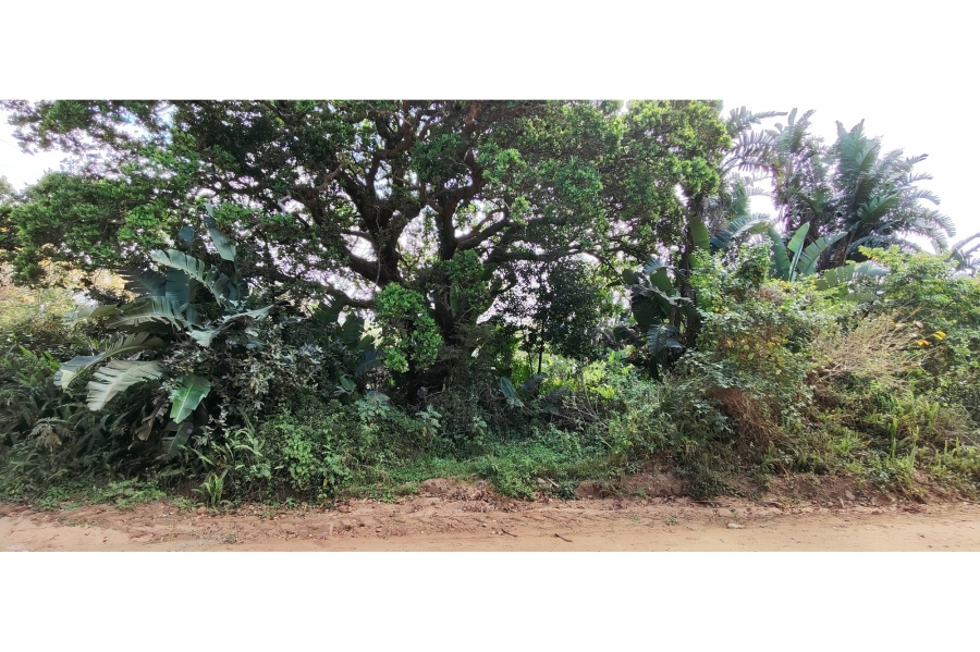 0 Bedroom Property for Sale in Palm Beach KwaZulu-Natal
