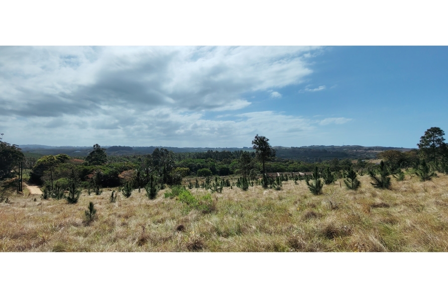 0 Bedroom Property for Sale in Palm Beach KwaZulu-Natal