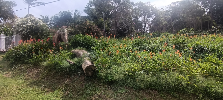 0 Bedroom Property for Sale in Umtentweni KwaZulu-Natal